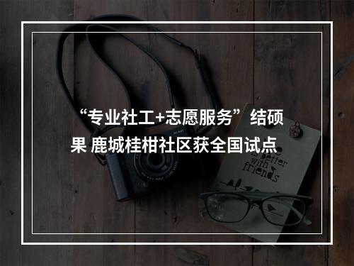 “专业社工+志愿服务”结硕果 鹿城桂柑社区获全国试点
