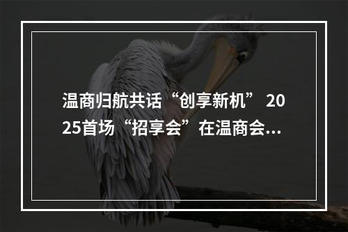 温商归航共话“创享新机” 2025首场“招享会”在温商会客厅举行