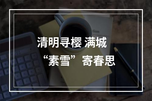 清明寻樱 满城“素雪”寄春思