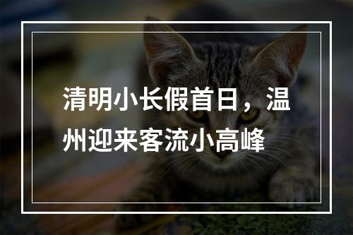 清明小长假首日，温州迎来客流小高峰