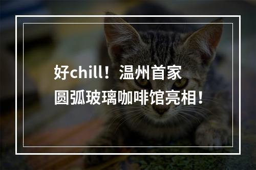 好chill！温州首家圆弧玻璃咖啡馆亮相！