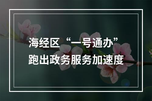 海经区“一号通办”跑出政务服务加速度