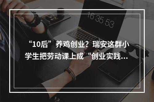 “10后”养鸡创业？瑞安这群小学生把劳动课上成“创业实践课”