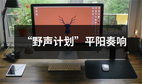 “野声计划”平阳奏响