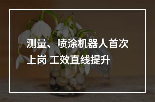 测量、喷涂机器人首次上岗 工效直线提升