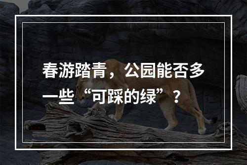 春游踏青，公园能否多一些“可踩的绿”？