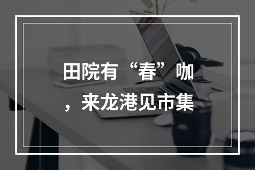 田院有“春”咖，来龙港见市集