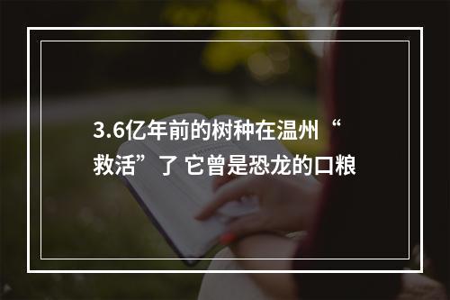 3.6亿年前的树种在温州“救活”了 它曾是恐龙的口粮