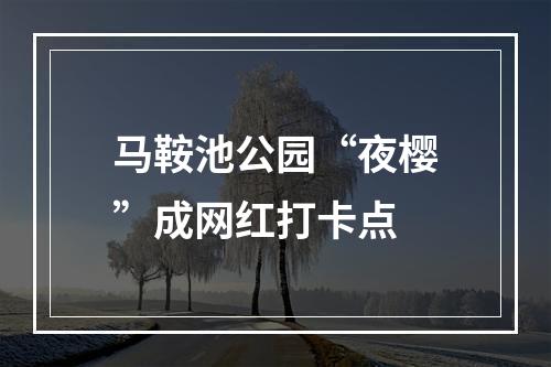 马鞍池公园“夜樱”成网红打卡点