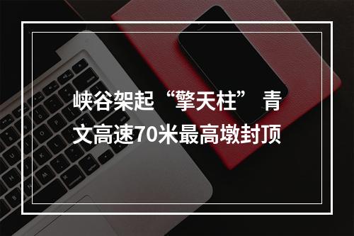 峡谷架起“擎天柱” 青文高速70米最高墩封顶