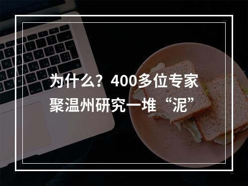为什么？400多位专家聚温州研究一堆“泥”