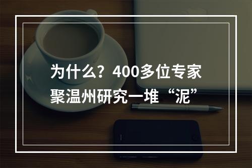 为什么？400多位专家聚温州研究一堆“泥”