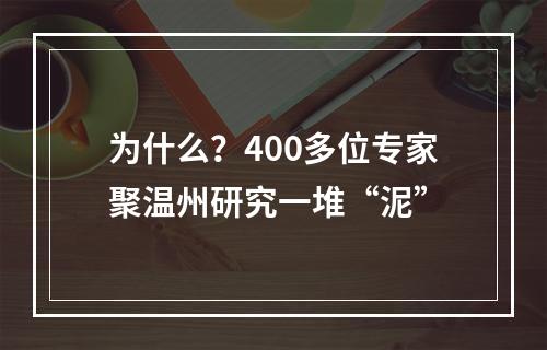 为什么？400多位专家聚温州研究一堆“泥”