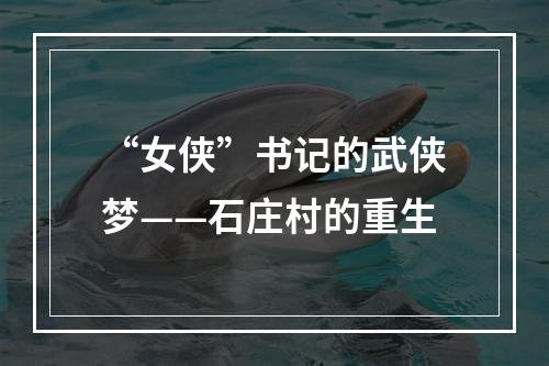 “女侠”书记的武侠梦——石庄村的重生