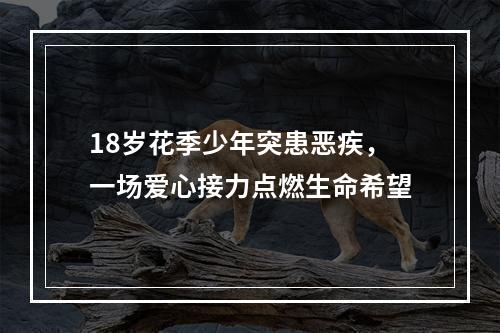 18岁花季少年突患恶疾，一场爱心接力点燃生命希望