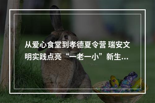 从爱心食堂到孝德夏令营 瑞安文明实践点亮“一老一小”新生活