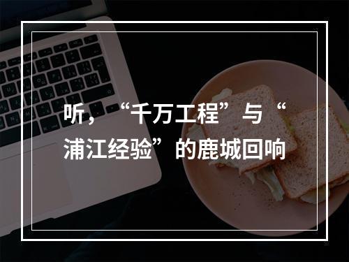 听，“千万工程”与“浦江经验”的鹿城回响