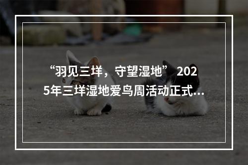 “羽见三垟，守望湿地” 2025年三垟湿地爱鸟周活动正式启动