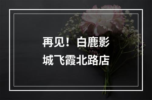 再见！白鹿影城飞霞北路店
