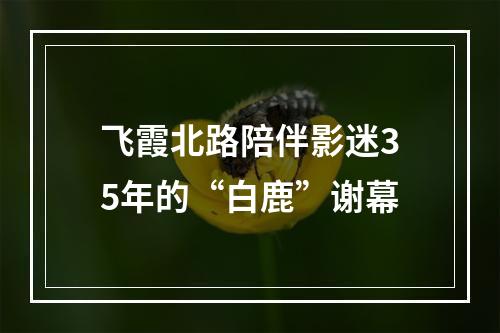 飞霞北路陪伴影迷35年的“白鹿”谢幕