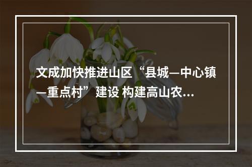 文成加快推进山区“县城—中心镇—重点村”建设 构建高山农旅-新质智造发展轴