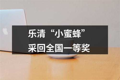 乐清“小蜜蜂” 采回全国一等奖