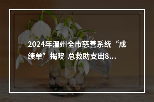 2024年温州全市慈善系统“成绩单”揭晓  总救助支出8.24亿元
