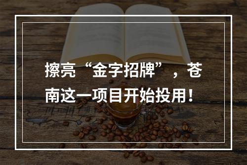 擦亮“金字招牌”，苍南这一项目开始投用！