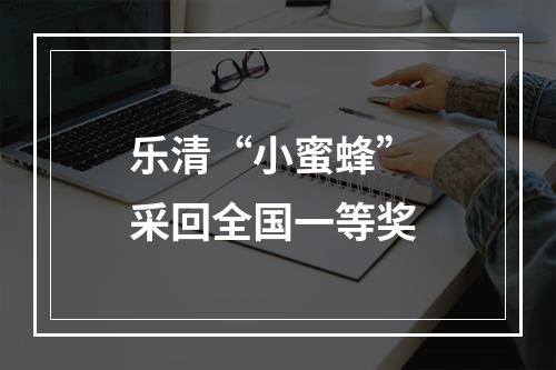 乐清“小蜜蜂” 采回全国一等奖