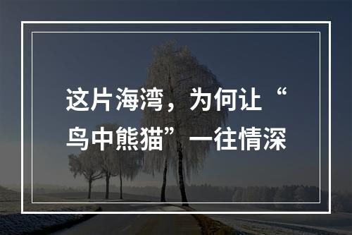 这片海湾，为何让“鸟中熊猫”一往情深