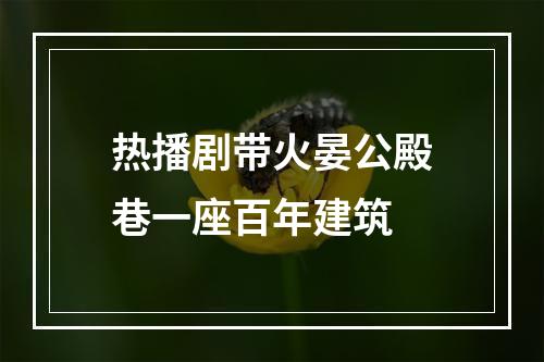 热播剧带火晏公殿巷一座百年建筑