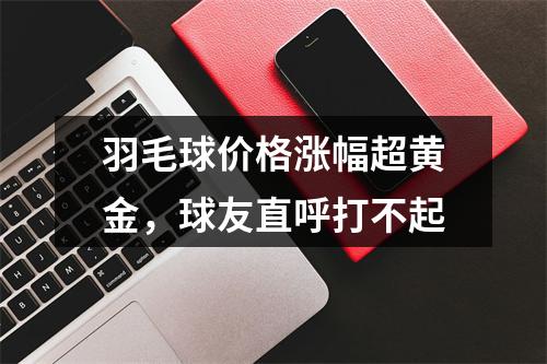 羽毛球价格涨幅超黄金，球友直呼打不起
