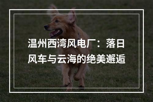 温州西湾风电厂：落日风车与云海的绝美邂逅
