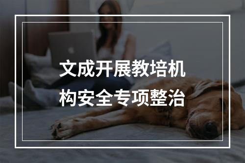 文成开展教培机构安全专项整治