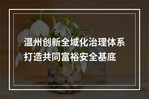 温州创新全域化治理体系打造共同富裕安全基底