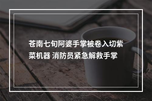 苍南七旬阿婆手掌被卷入切紫菜机器 消防员紧急解救手掌