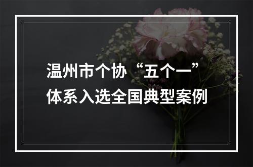 温州市个协“五个一”体系入选全国典型案例