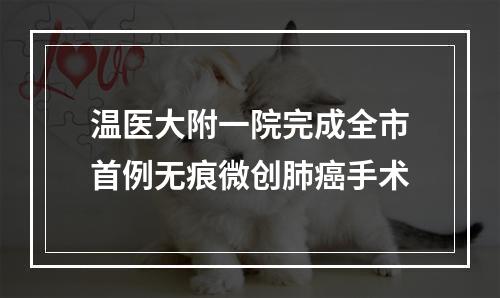 温医大附一院完成全市首例无痕微创肺癌手术