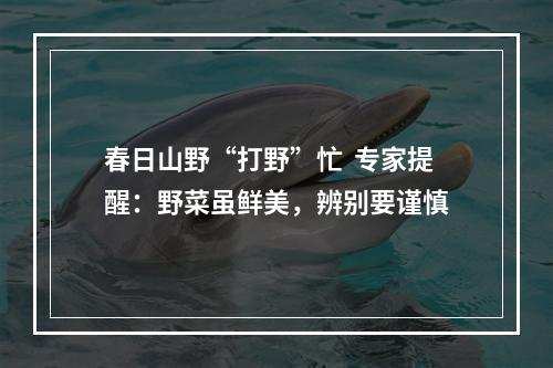 春日山野“打野”忙  专家提醒：野菜虽鲜美，辨别要谨慎