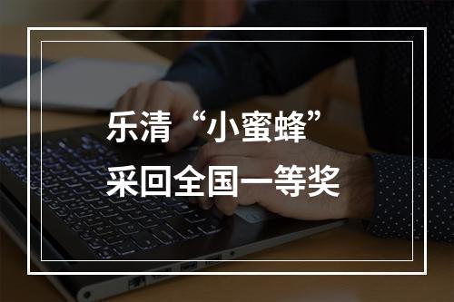 乐清“小蜜蜂” 采回全国一等奖