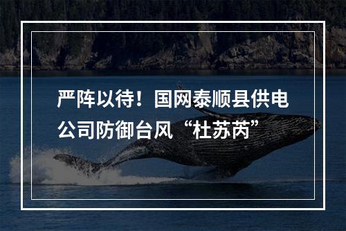 严阵以待！国网泰顺县供电公司防御台风“杜苏芮”
