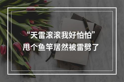 “天雷滚滚我好怕怕” 甩个鱼竿居然被雷劈了