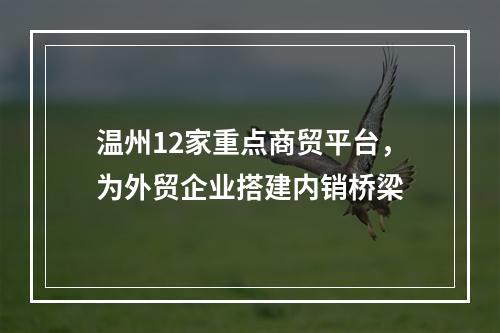 温州12家重点商贸平台，为外贸企业搭建内销桥梁