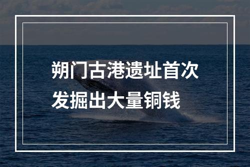 朔门古港遗址首次发掘出大量铜钱