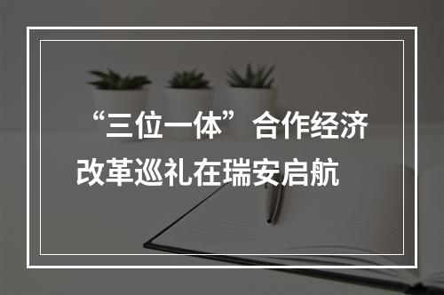 “三位一体”合作经济改革巡礼在瑞安启航