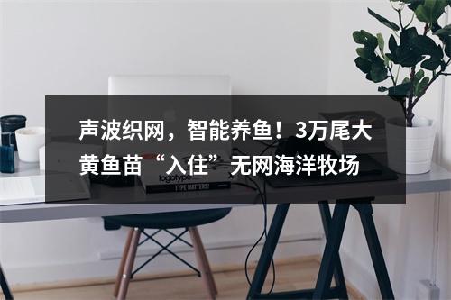 声波织网，智能养鱼！3万尾大黄鱼苗“入住”无网海洋牧场