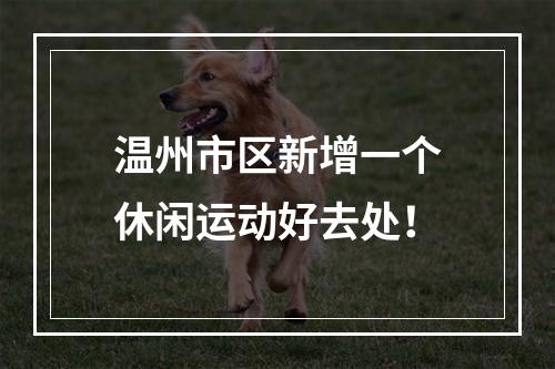 温州市区新增一个休闲运动好去处！