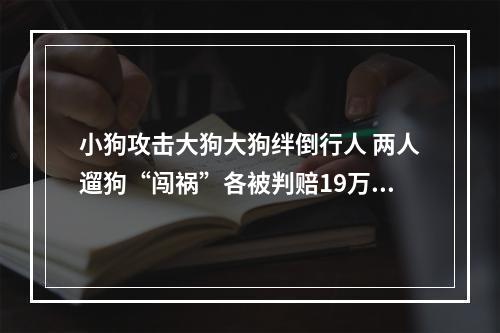 小狗攻击大狗大狗绊倒行人 两人遛狗“闯祸”各被判赔19万余元