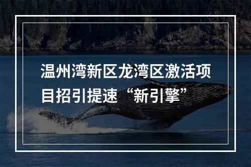 温州湾新区龙湾区激活项目招引提速“新引擎”