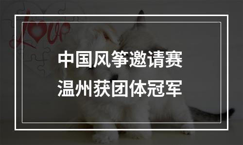 中国风筝邀请赛 温州获团体冠军